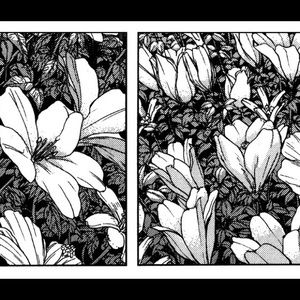 Meet your Posher, Mady